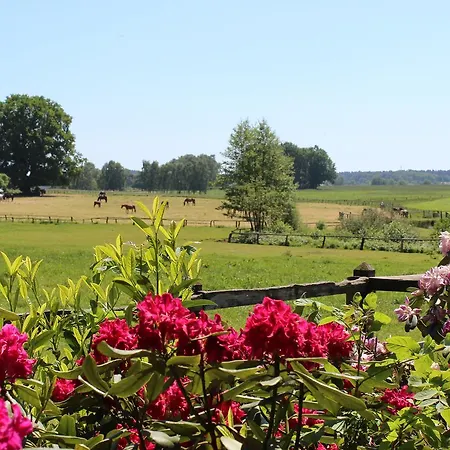 Albers' Rosenhof Gæstehus Bispingen